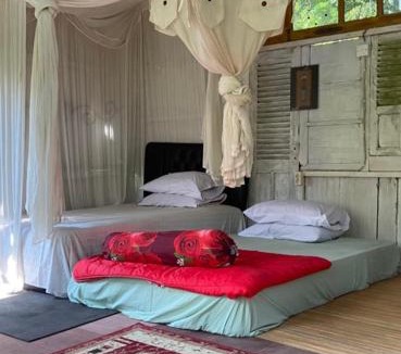 Banjartegehe House | Alas bangkuwang Dream