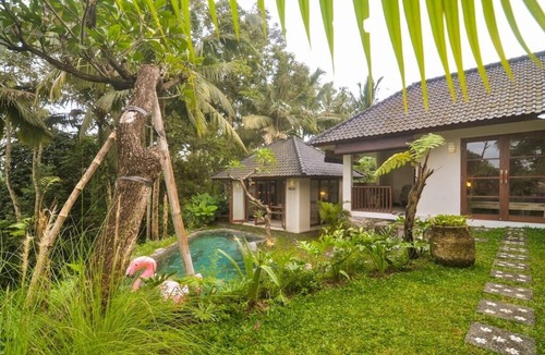 Bongkasa Pertiwi Villa | Amara Giri Naturaly Elegant 2 bedroom vila