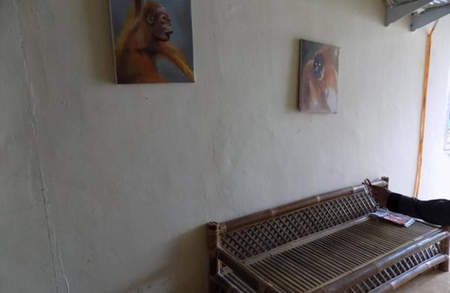Medan House | Amelia Guest House