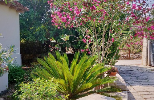 Noto Marina Villa | An Authentic Mediterranean Villa 300mt from the beach