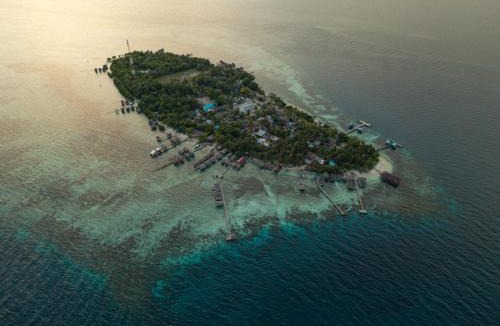 Arborek House | Angelfish Guest House Raja Ampat