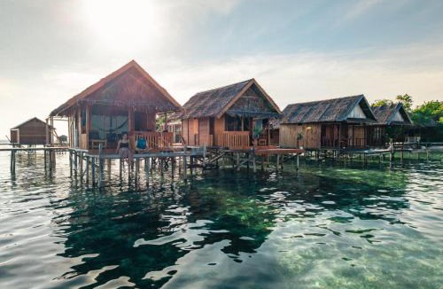 Arborek House | Angelfish Guest House Raja Ampat