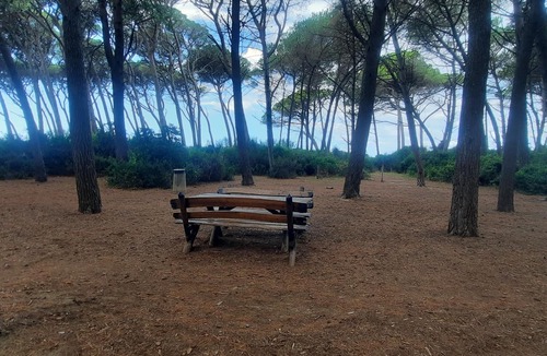 Mazzanta Apartment | Apartment 200 meters from the sandy beach and the pine forest