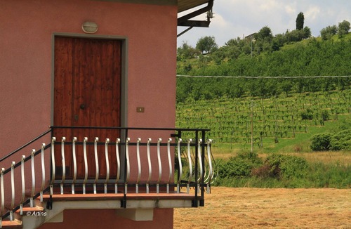 Gassano Other | Apartment "Il Fienile" at Agriturismo La Preduscella