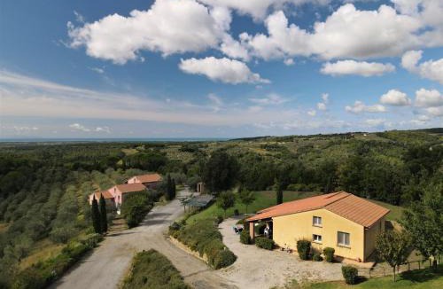 Riparbella Apartment | Apartment Il Felciaione-18 by Interhome