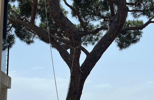 Cannes La Bocca Apartment | Apartment with panoramic sea view - Cannes - La Croix des Gardes