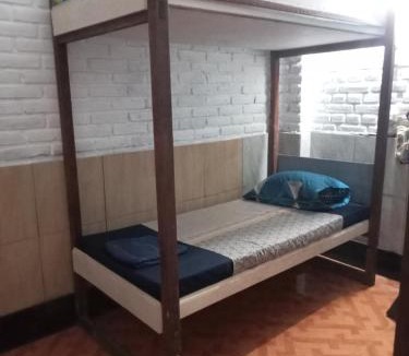 Lovina Hostel | Apollo Hostel