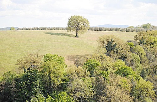Colle di Val d'Elsa Apartment | Appartamento panoramico nel centro torico