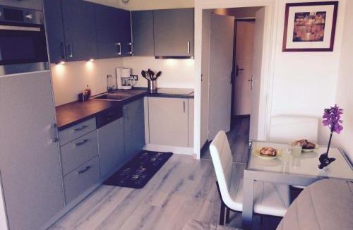Plaine de la Brague Apartment | Appartement 2 pieces, renove, 2 piscines+tennis, mer, climatisation
