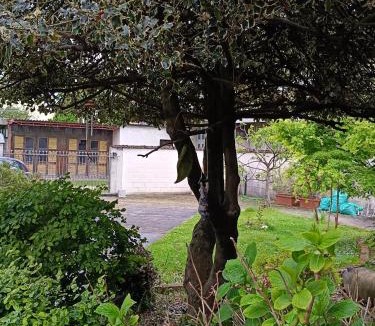 Basiliano Bed & Breakfast | B&B Coccinella