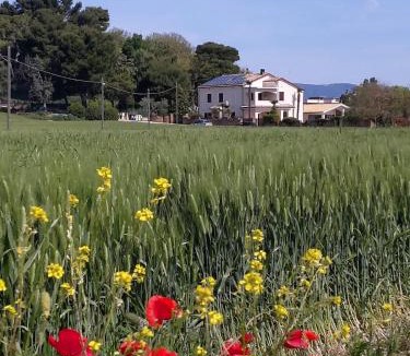 Loreto Bed & Breakfast | B&B Isa