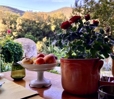 Campiglia Marittima Bed & Breakfast | B&B La Fucinaia Pet Friendly Adults only