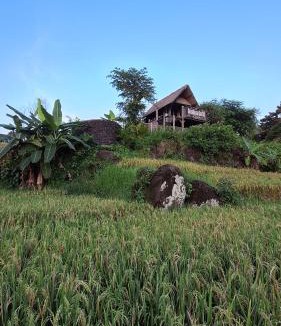Suraberata Villa | Bali Beach Eco Villas Bali Batu Beach Hut