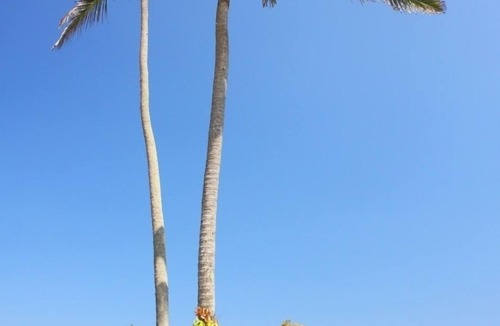 Suraberata Villa | Beachfront Villa Inca- Breakfast included