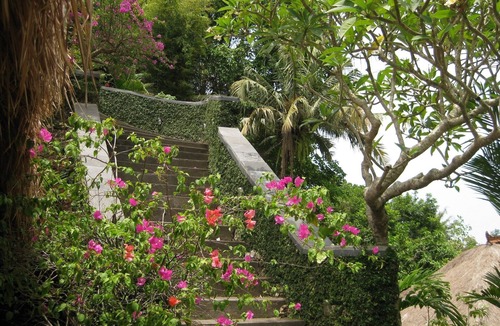 Cepaka Villa | 'BEAUGAINVILLEA' ROOM