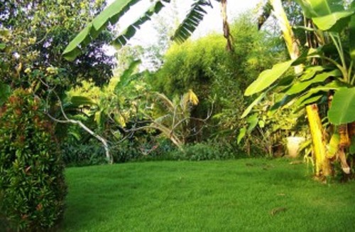 Dalung Villa | Beautiful Villa Kubu Ampo