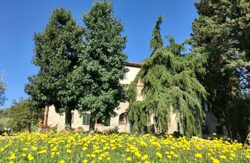 Nozanno Bed & Breakfast | Bed&Breakfast La Madonnina