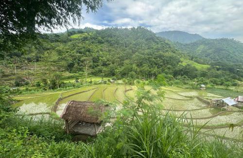 Purwakerti Hotel | Beehive Cottages