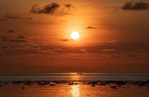 Bintan Hotel | Bintan Exotica Resort By WH - Free Breakfast