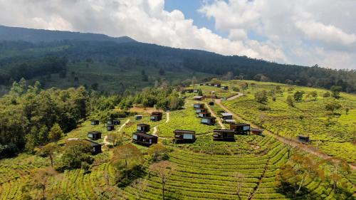 Parongpong Resort | Bobocabin Signature Sukawana, Bandung