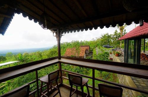 Pupuan Bed & Breakfast | Brave Coffee and Camp