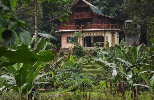 Bohorok House | Bukit Lawang Batu Kapal Rimba House