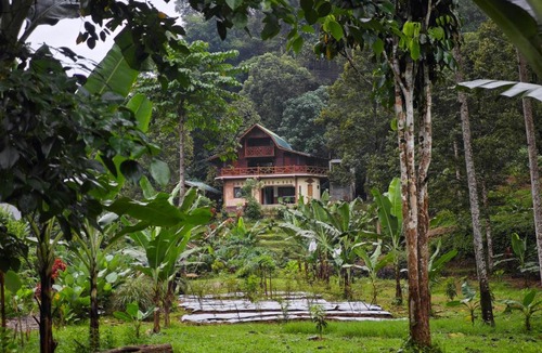 Bohorok House | Bukit Lawang - Batu Kapal Rimba House