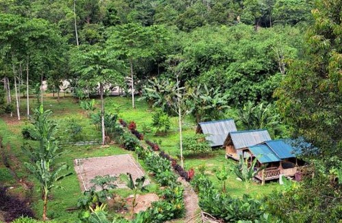 Bohorok House | Bukit Lawang - Batu Kapal Rimba House