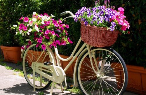 Buti Bed & Breakfast | Camere Zimmer Rooms San Francesco