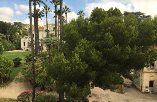 Cannes Apartment | CANNES, F2 Furnished direct beach, at the foot of Suquet, 800 m Palais Festival