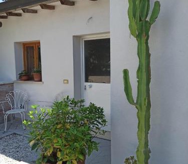 Torre del Lago Puccini Apartment | Casa La Gardenia