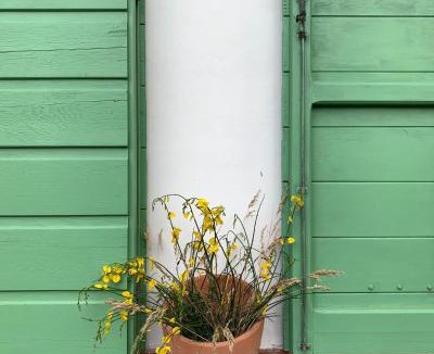 Campiglia Marittima House | Casa Ribellino