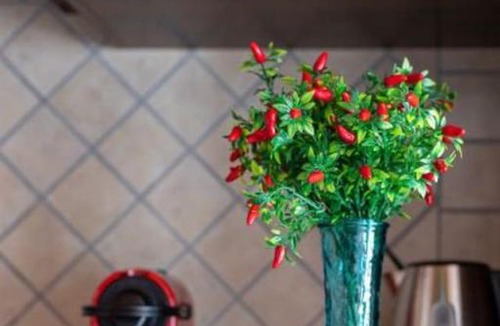 Naples City Centre House | Casa Vacanze Operazione San Gennaro