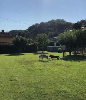 Masero House | CasaGiarelli