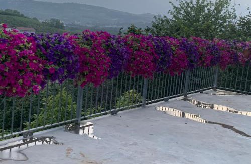 Neive Bed & Breakfast | Cascina La Corte
