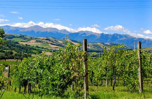 San Ginesio Bed & Breakfast | Casetta Mentuccia