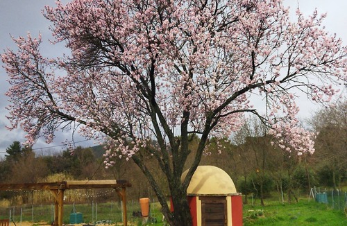 Castellina Marittima Apartment | Casina Rossa, nestled in the Tuscan countryside