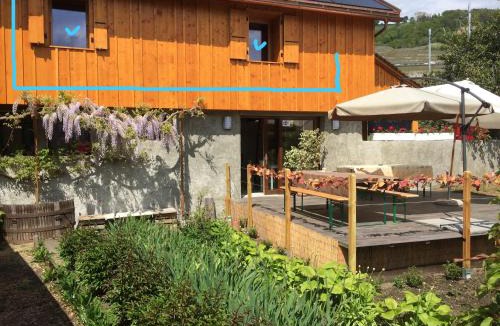 Cully House | Cave de Moratel