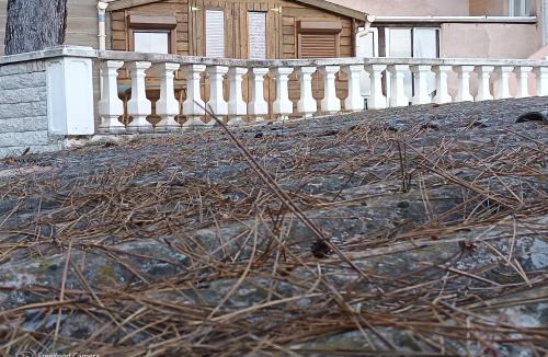 Nice Ski Chalet | Chalet at Villa Don Quijote Nice
