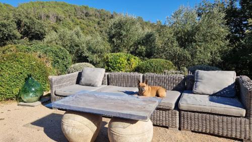 La Garde-Freinet House | Chambres d'hôtes Le Pontillaou