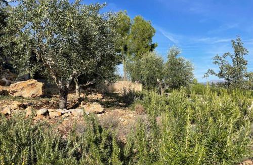 Fayence House | Charmante maison de vacances Sud France