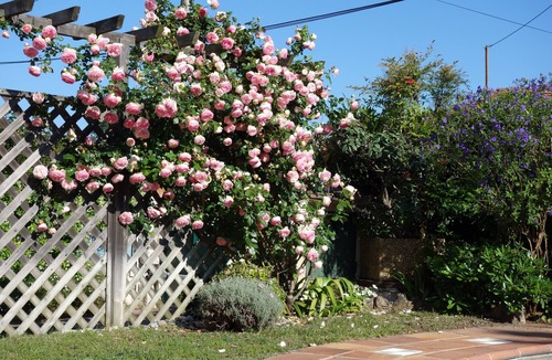 Cagnes-sur-Mer Villa | Charming Provencal farmhouse, nice and well located, with pool
