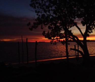 Yef Mo House | Coco Beach Homestay Raja Ampat