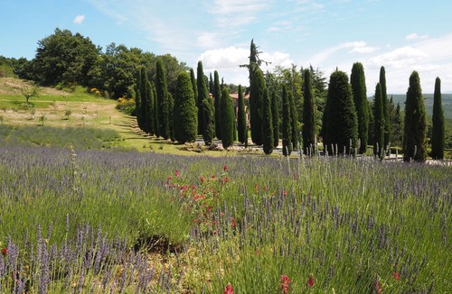 San Gimignano Apartment | Cornocchio 1 - Apartment with swimming pool