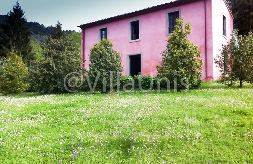 Nocchi House | Country House Under The Olive Trees, With Pool And Large Garden