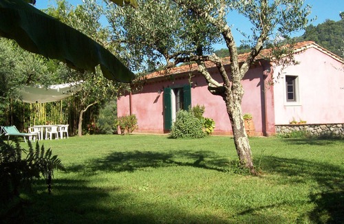 Nocchi Villa | Country villa with private garden and swimming pool. It has 6 beds