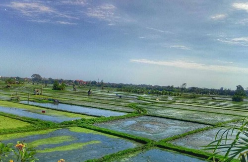 Denpasar Barat Apartment | Cozy Couple Studio with Rice Field View Seminyak Bali