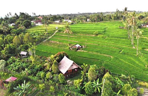 Sukasada House | Cute Eco Cottage Near 7 Waterfalls