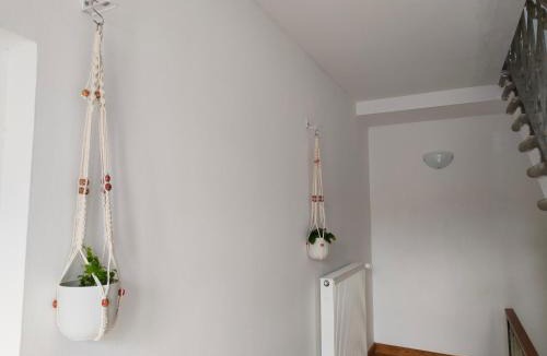 Sottomonte Apartment | Da Francesca