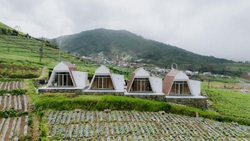 Dieng Kulon Villa | Dieng Khatulistiwa By Travelink